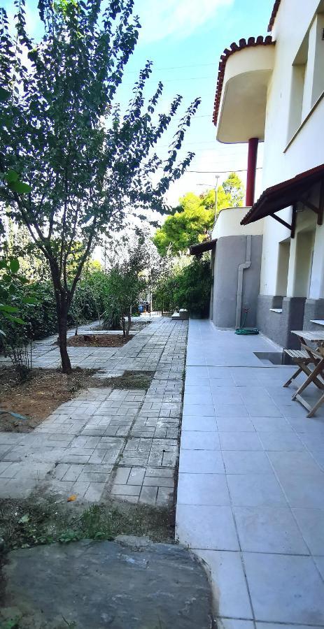 Amazon Spacious 3Bedroom Premium Neighbourhood Atene Esterno foto